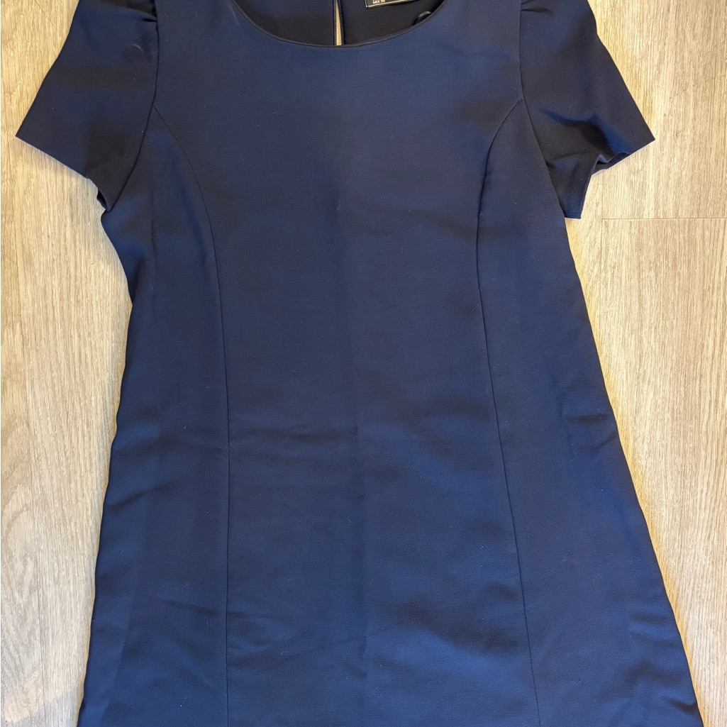 Zara Trafaluc Dress- Navy Shift Dress Size L